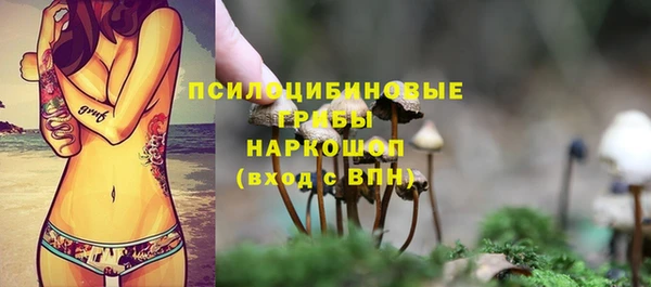 МДПВ Иннополис