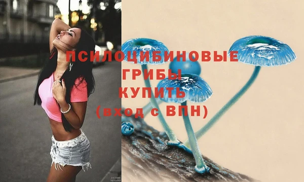 МДПВ Иннополис