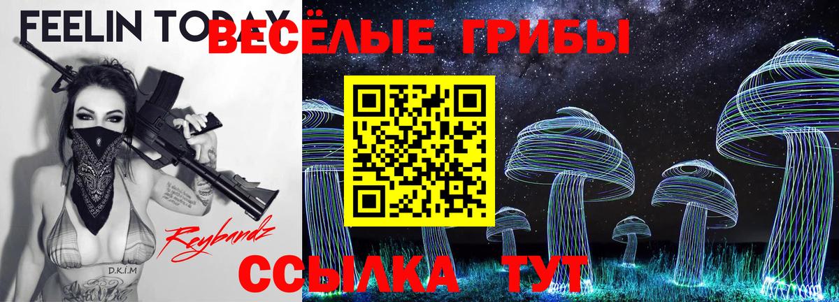 наркошоп  Галлюциногенные грибы Psilocybine cubensis  Вход с VPN  Псилоцибиновые грибы Psilocybine cubensis  Каменск-Шахтинский 